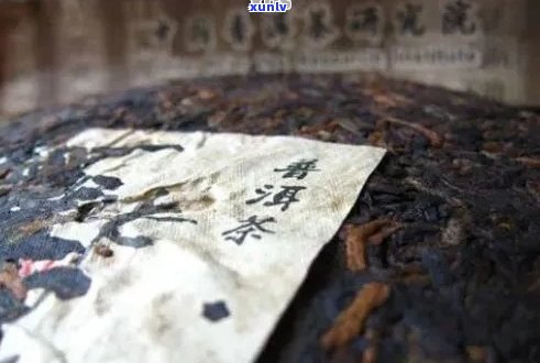 探究普洱茶饼上独特的汉字：其历与文化意义