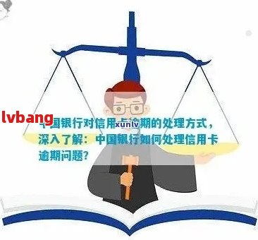 中国银行信用卡逾期一天：处理策略与影响分析