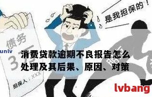 个人消费贷款逾期后果