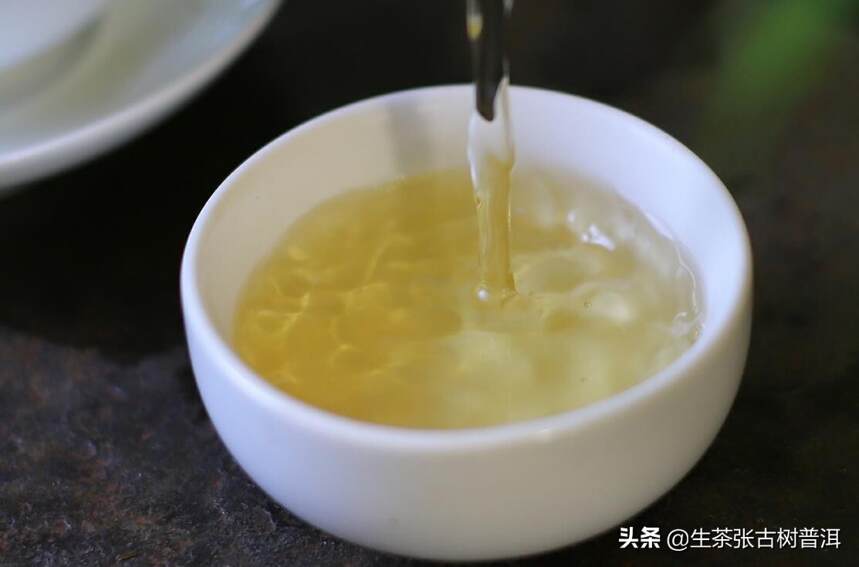 探索普洱茶的层次魅力：从原料到冲泡的全方位解读