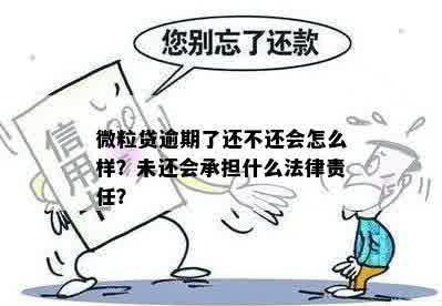 微粒贷逾期不还了会怎么样吗？安全吗？收到什么法律责任？