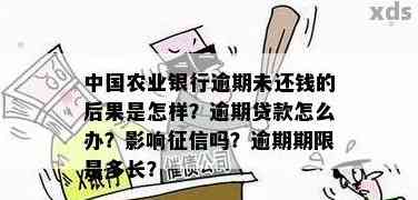 多家银行联保贷款逾期未还，该如何应对处理？