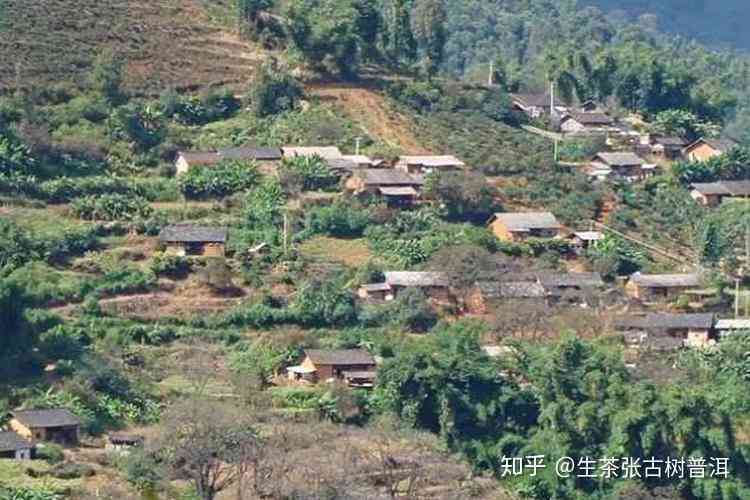 小村正气塘：历、文化、风景及当地特产的综合介绍