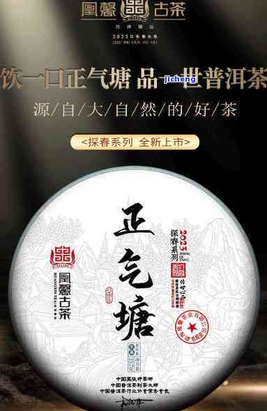 正气塘普洱茶价格表(2023-2024年),品尝感受及价位解析