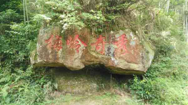 梅岭：风景、历史、文化与旅游指南的全方位解析