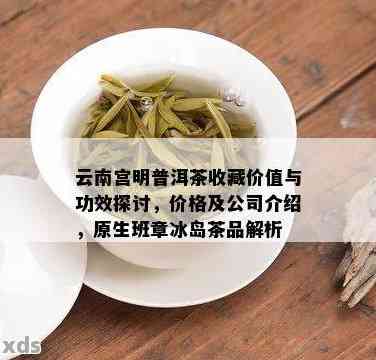 宫明茶叶品质评价：如何鉴别高质量的宫明茶？