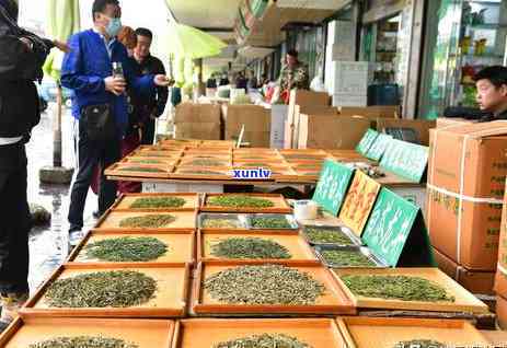 东莞40万吨茶叶库存压力山大！普洱茶市场陷入困境，何时能？