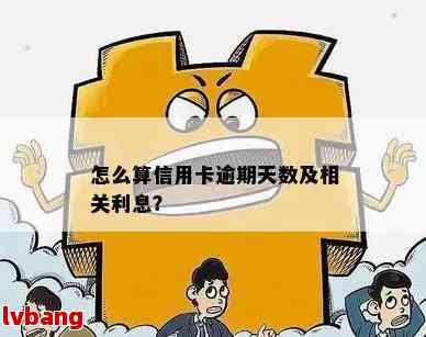 信用卡逾期次数怎么算出来的：如何查询和计算信用卡逾期天数及次数？