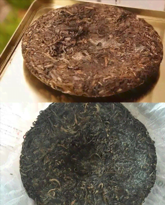 普洱茶发霉拉肚子