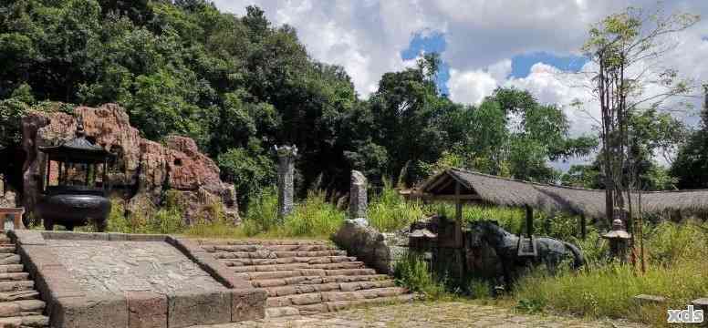 探索99思古普洱：历、文化、茶艺与旅游的完美结合