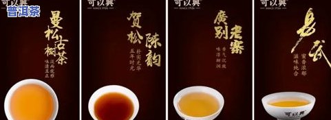 瑞荣号普洱茶全系列价格解析：如何挑选最适合您的普洱茶？