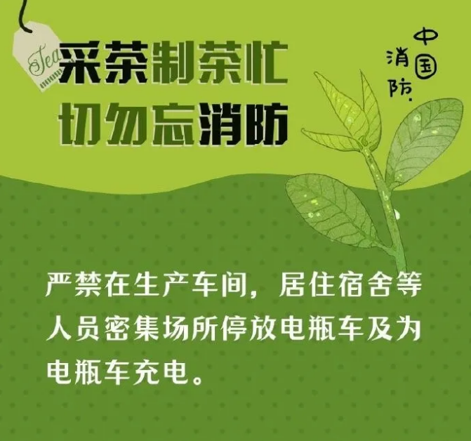 探究老茶农的魅力：传统茶叶制作技艺与生活哲学