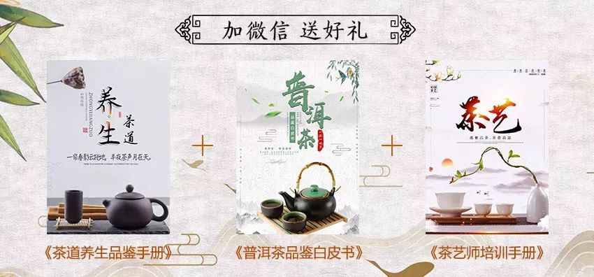 探究老茶农的魅力：传统茶叶制作技艺与生活哲学