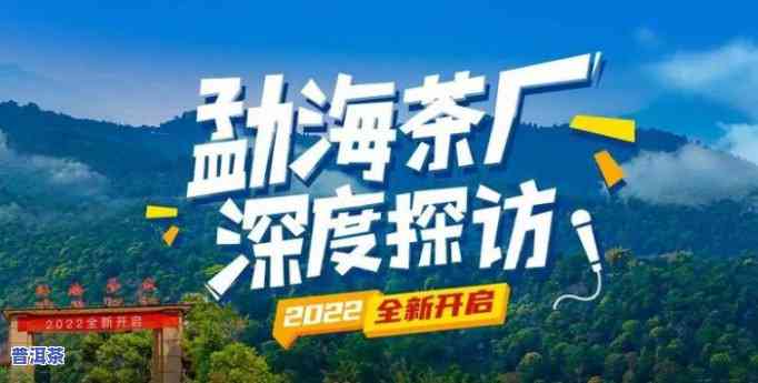 普洱茶勐海茶厂：全面解析价格、品质与购买指南，助您轻松挑选心仪好茶