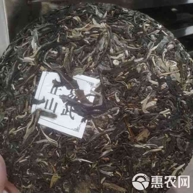 普洱茶老茶山茶