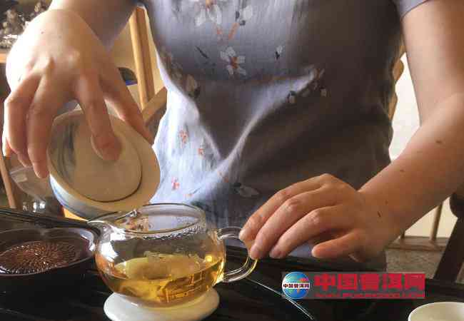 全方位了解好女人普洱茶：品鉴、冲泡、功效与购买指南直播