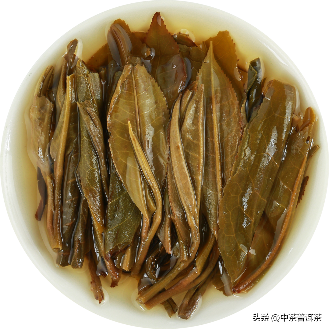 天门山普洱茶价钱