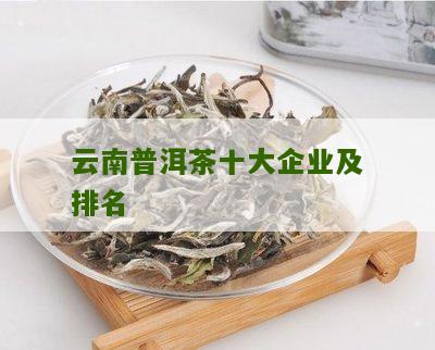 云南地区知名的普洱茶企业有哪些？