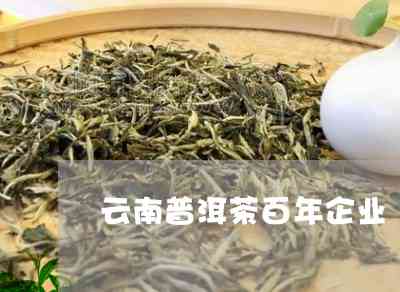 云南百年普洱茶企