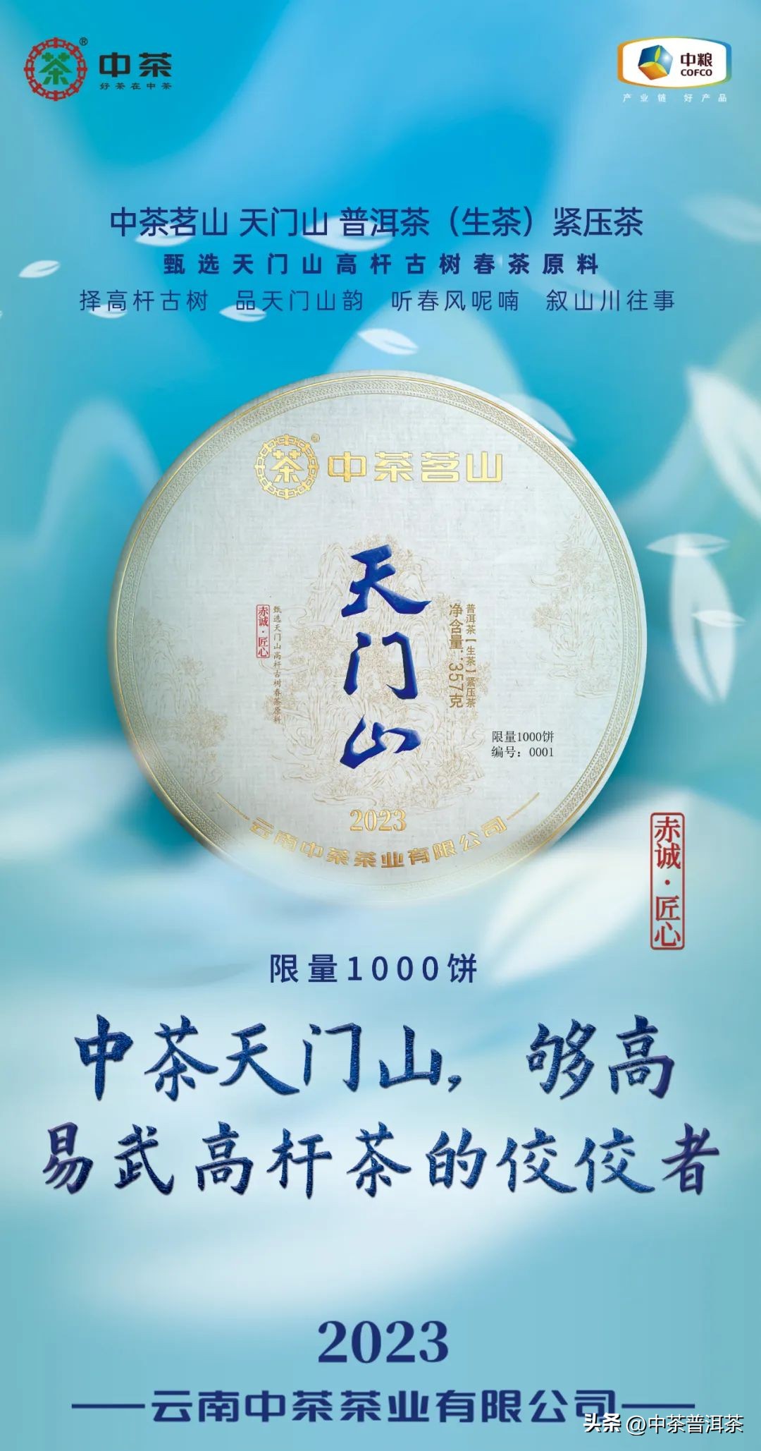 天门山小片普洱茶