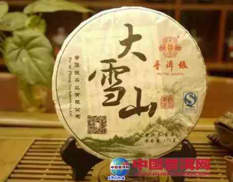 大雪山普洱茶特点和功效，多少钱一斤？属于哪个茶区？