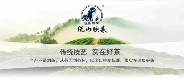 云中宝普洱茶冰岛：品鉴源自冰岛的高地茶，感受大自然的恩赐