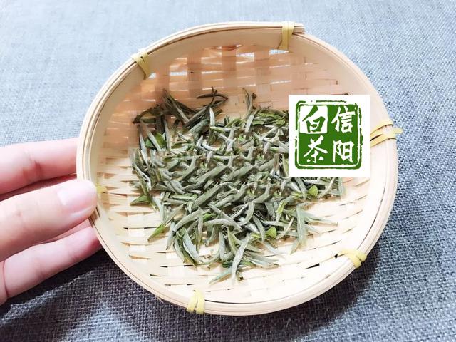 普洱茶与白毫银针：对比鉴，哪个更胜一筹？