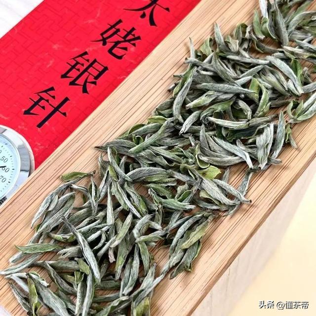 普洱茶与白毫银针：哪款茶叶更适合女性饮用？