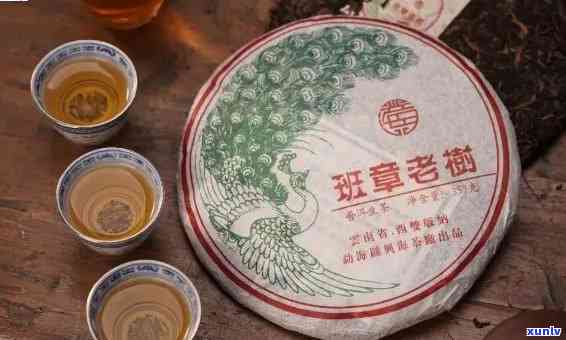 老班章普洱茶龙凤-金芽青砖，古树韵味，珍藏品茗