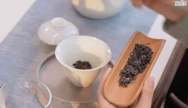 普洱茶水杯冲泡方法：如何用杯子泡普洱茶？