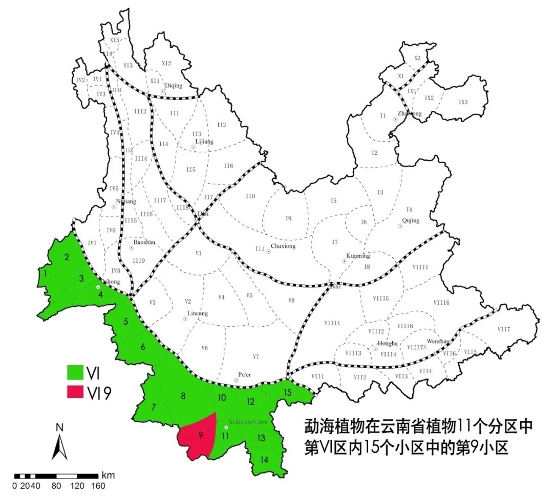 云南黑的生态性、保护现状与人类活动影响：一份全面指南