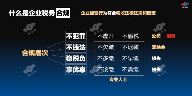 内税务报逾期后的合规处理策略与实践探讨