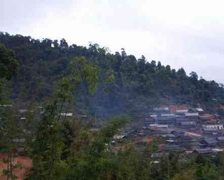 河口县普洱茶产地：位于何处？