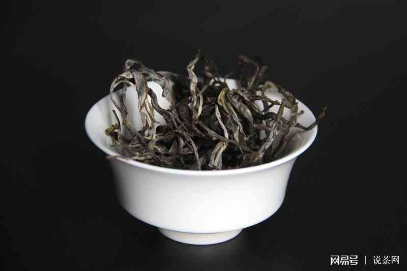 普洱茶黄芽：种类、品质与功效的全面解析