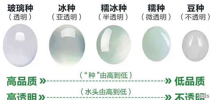 全面了解磁性翡翠的特征、类型和选购技巧，帮助你轻松辨别和购买