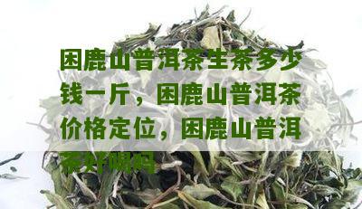 困鹿山普洱茶生茶价格及选购指南：一斤多少钱？如何挑选优质茶叶？