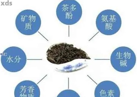 普洱茶的矿物质成分及其对人体健的益处