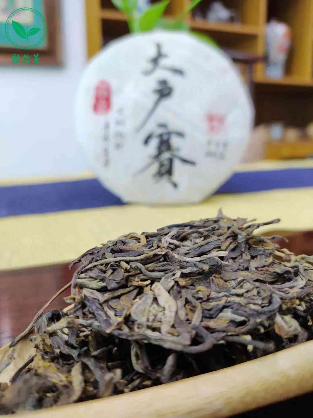 太散的普洱茶