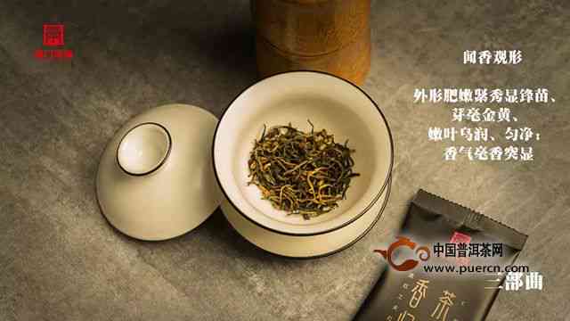 百山集普洱茶深度品鉴：一款茶叶的全方位解读与体验