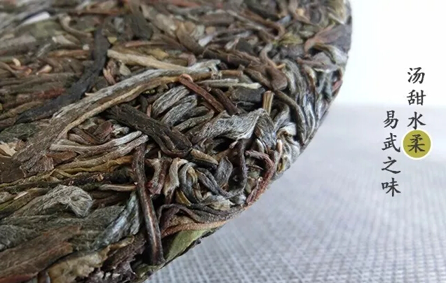 百山集普洱茶深度品鉴：一款茶叶的全方位解读与体验