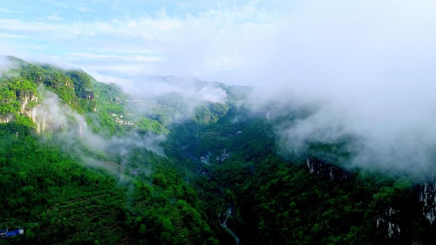 巴山翠天山翠：自然之美、神秘之地、文化底蕴、旅游胜地