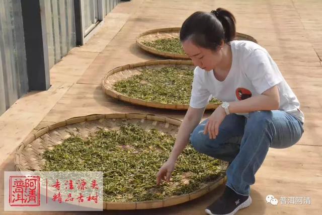 直播销售的普洱茶质量好吗？安全吗？