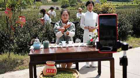 怎么样直播卖普洱茶