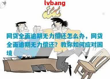 应对多重压力：当网贷逾期无力偿还时的有效策略