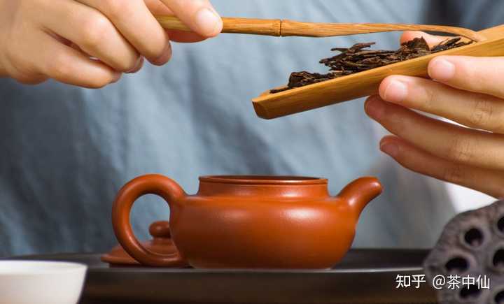 紫砂壶泡老白茶和普洱：一种茶器能否容纳两种茶叶？