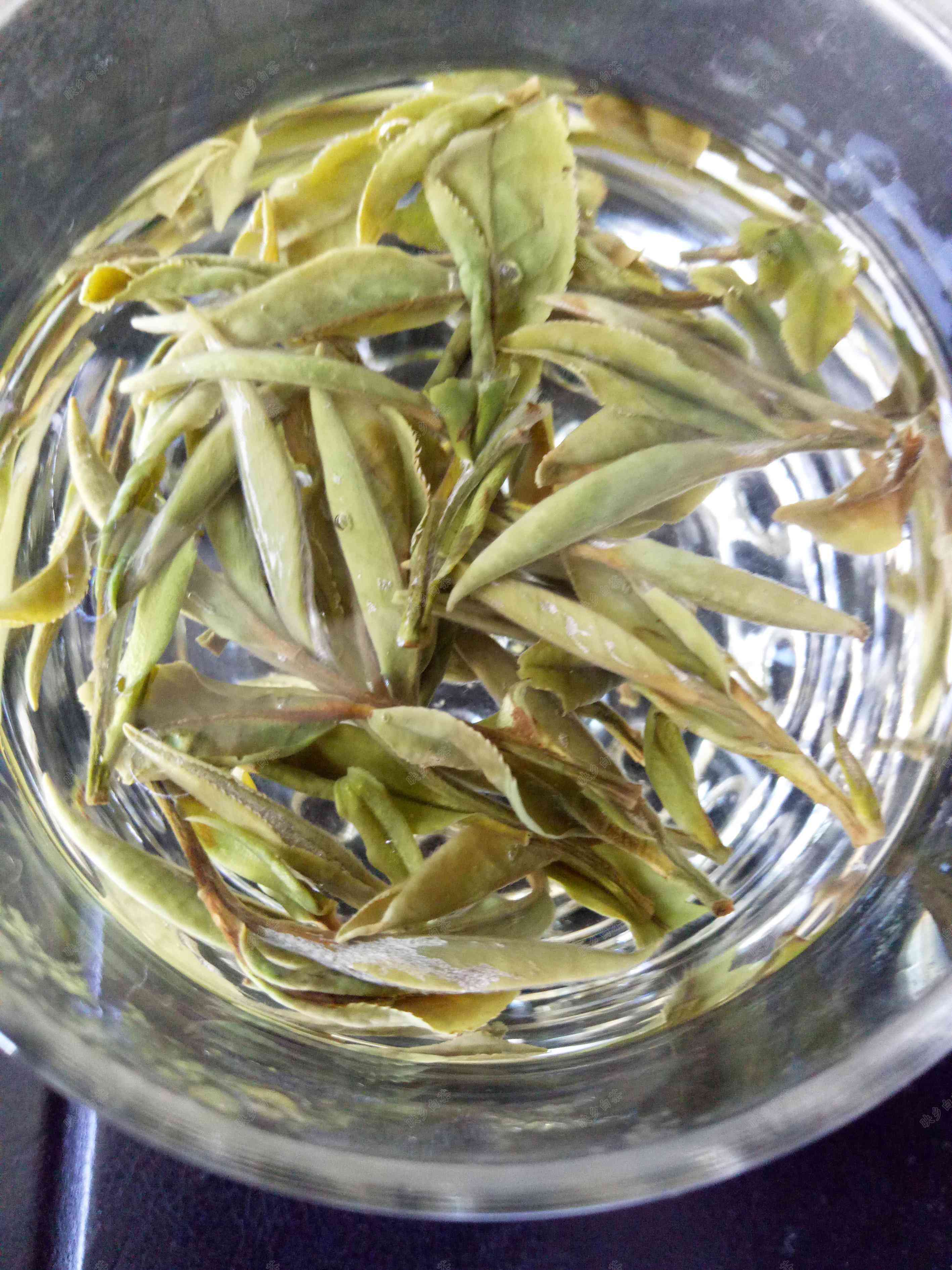 紫砂壶泡老白茶和普洱：一种茶器能否容纳两种茶叶？