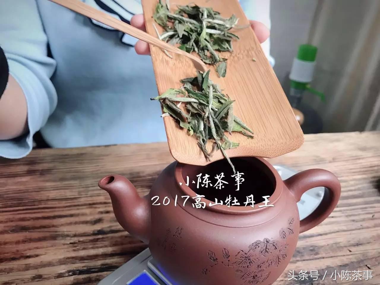 普洱茶老白茶紫砂壶