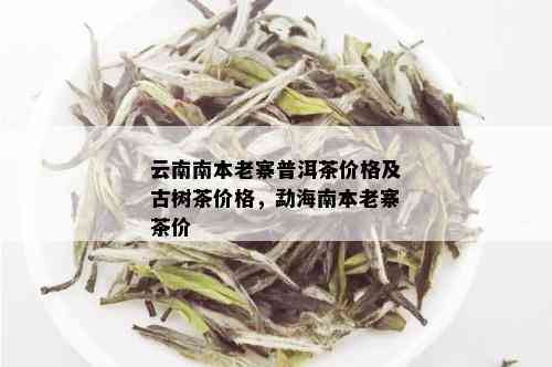 南本老寨普洱茶价格 - 云南古树茶指南