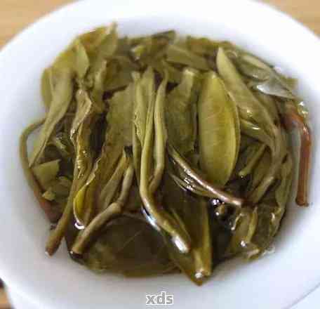 普洱茶的芽头怎么看好坏和年份，了解普洱茶芽头的基本知识。