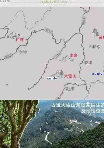 普洱茶产地在哪里：冰岛、福建、大雪山、白猴山